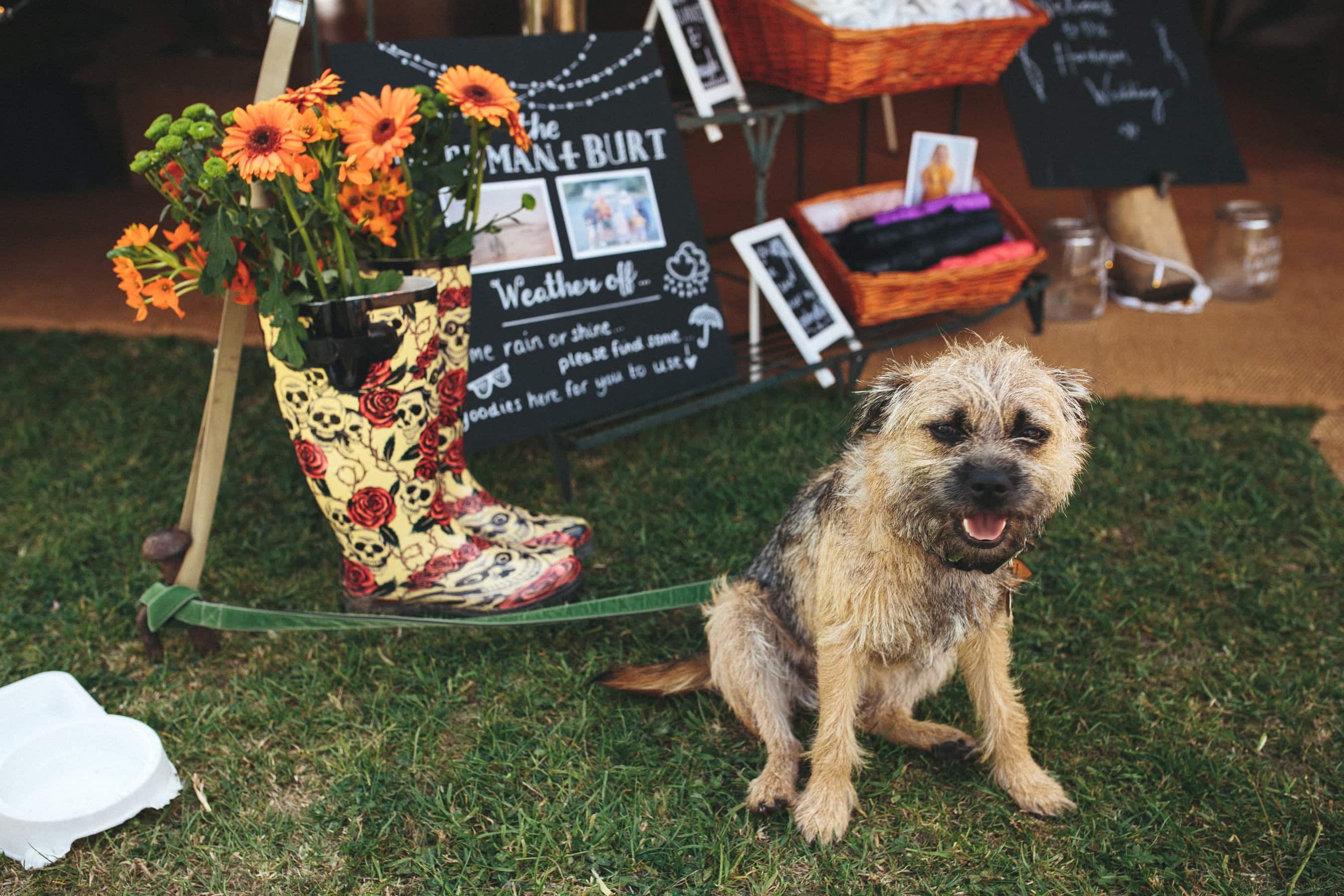 photography tipi wedding alcott farm