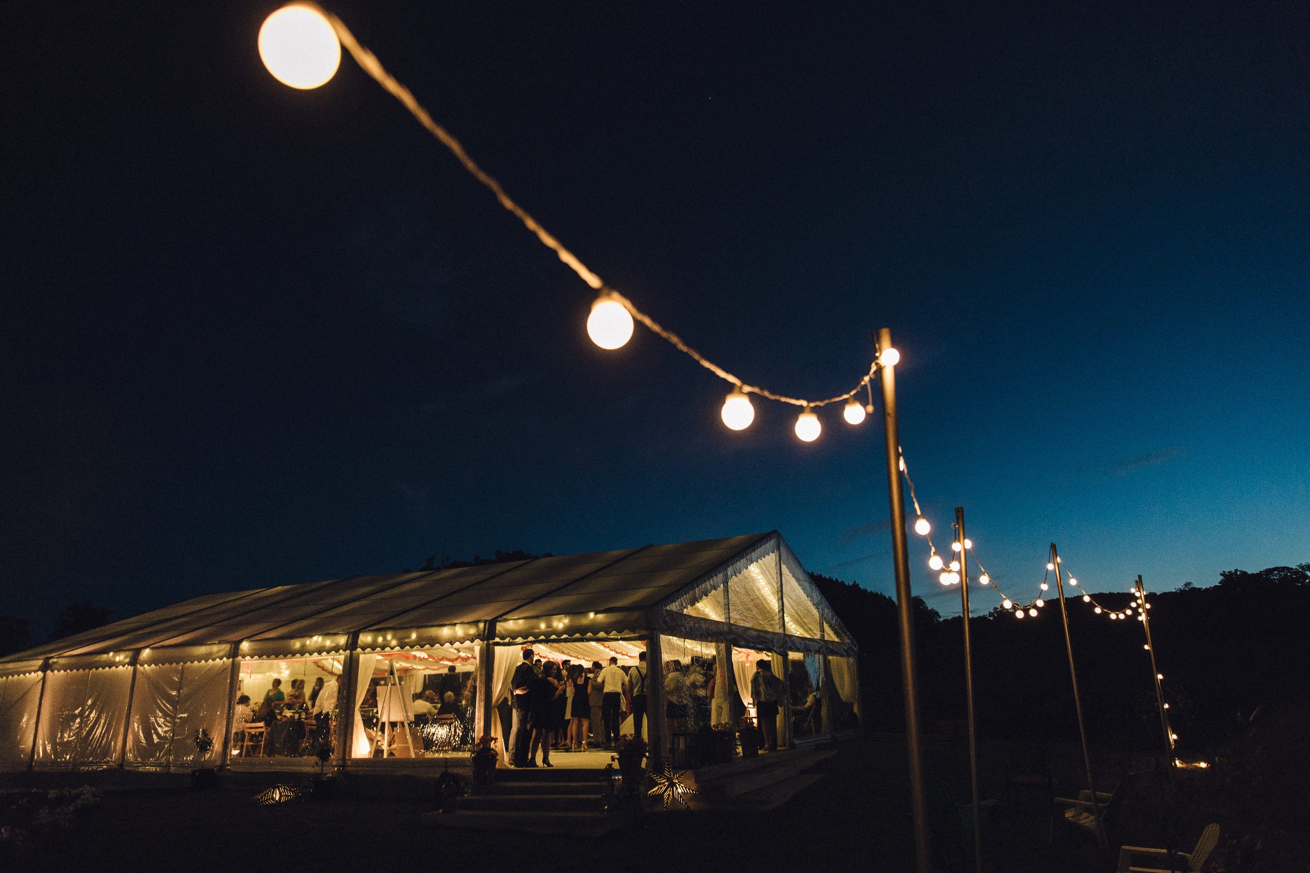 festoon lights back garden wedding