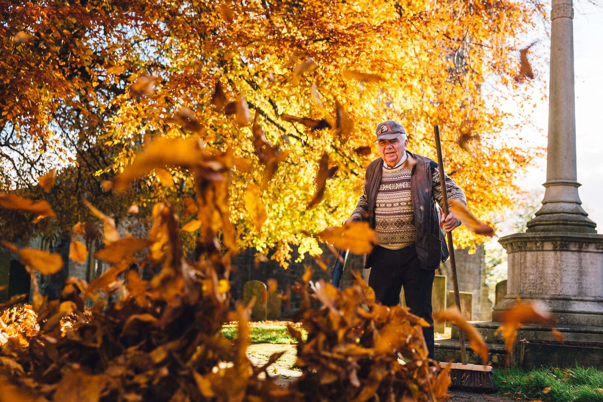 autumn leaves photography