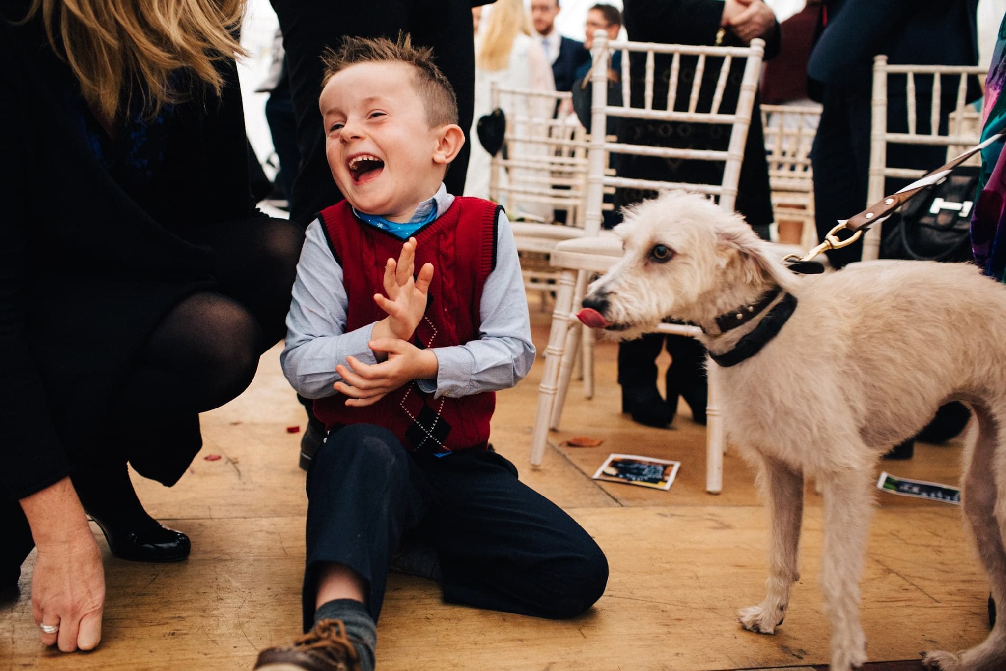 dogs at weddings