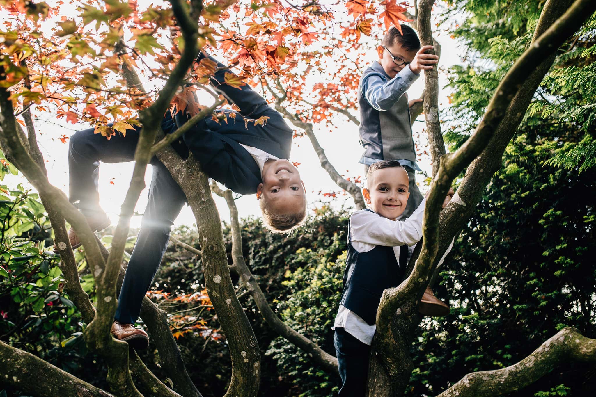 page boys climbing a tree wedding