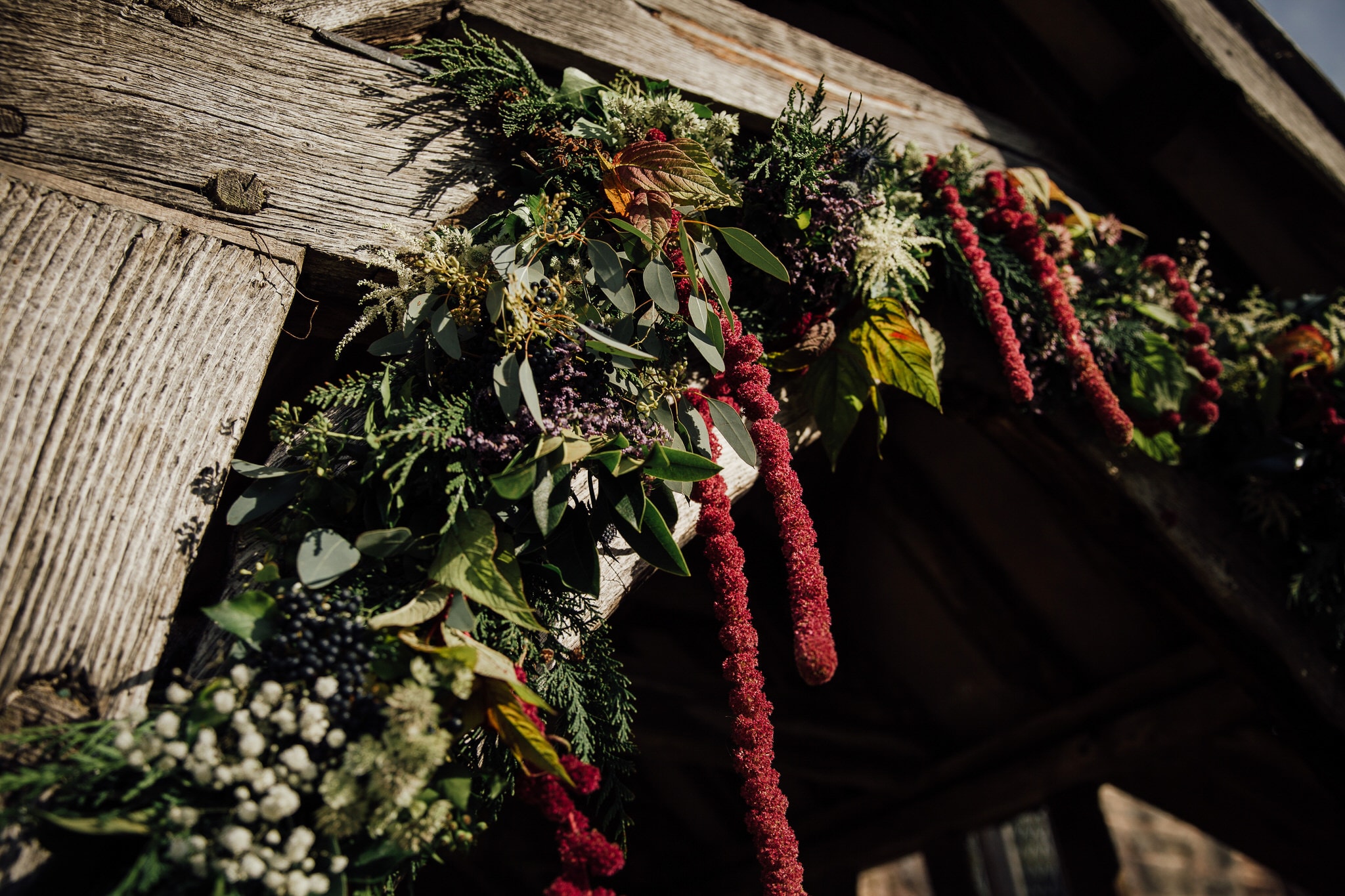 floral arch in sunlight