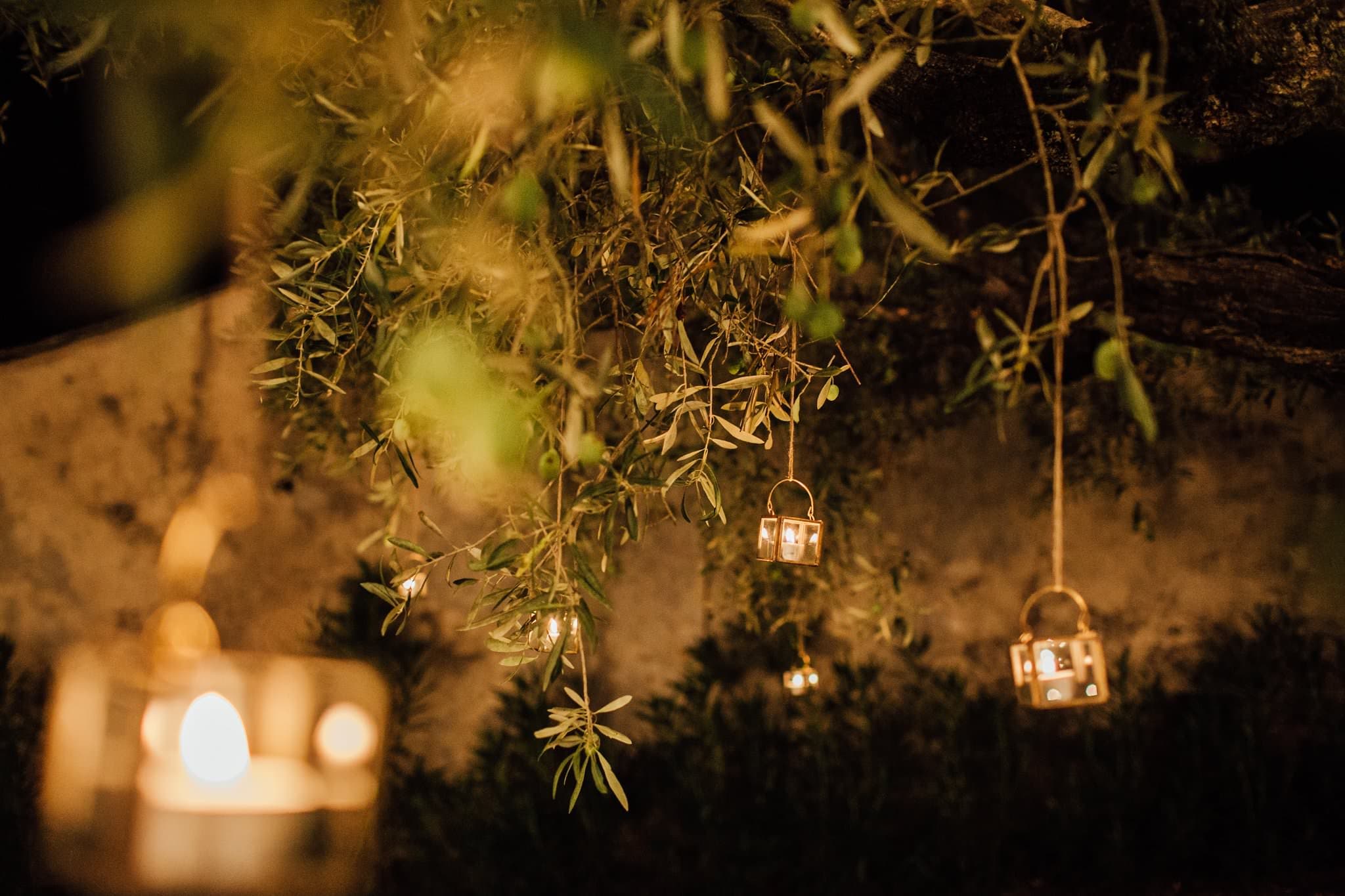 candles in the olive tree